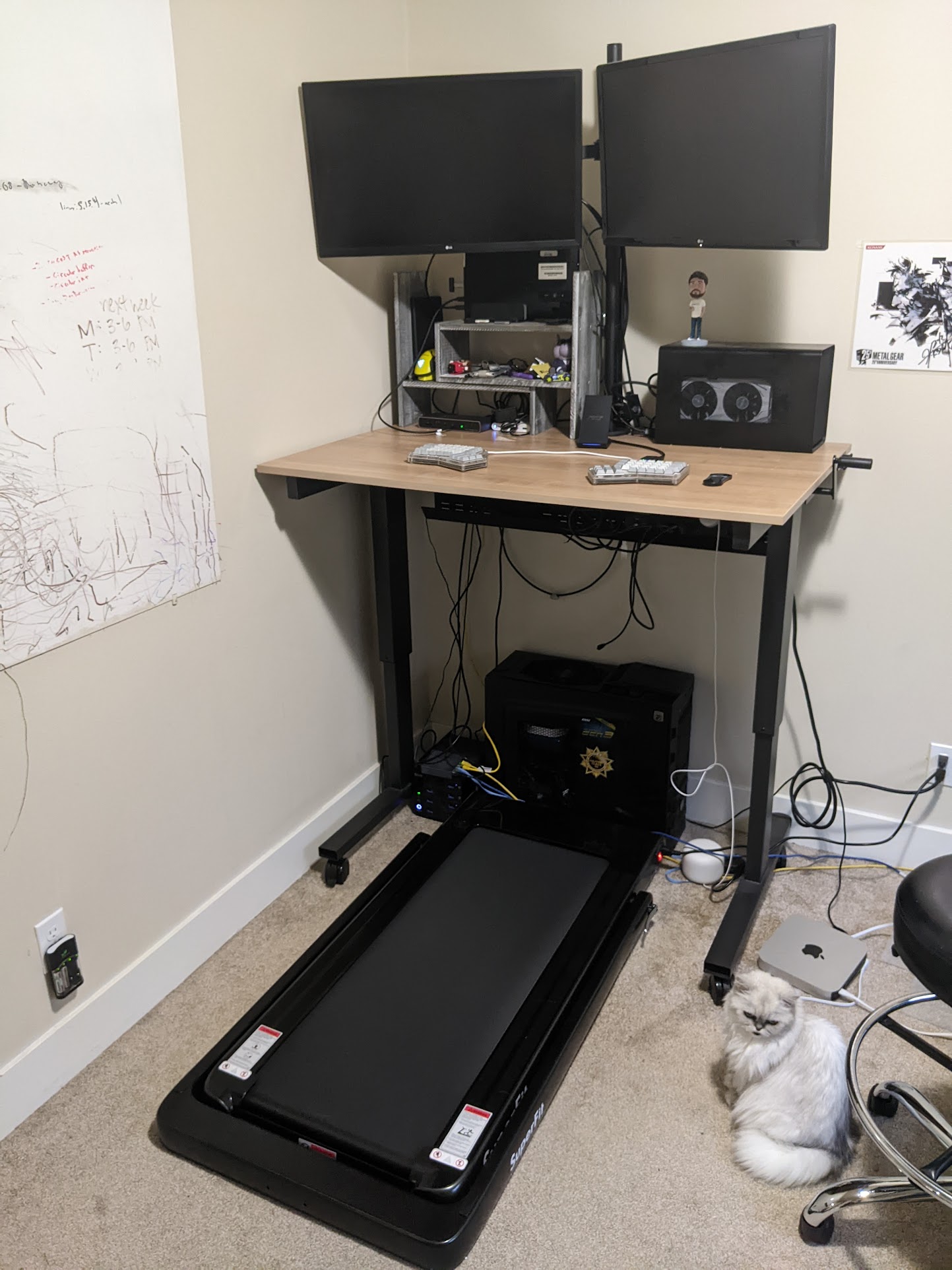 picture of my treadmill desk setup